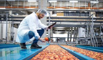 https://plagastur.previsualizar.es/ ¿Cómo Afectan las Plagas a la Industria Alimentaria?