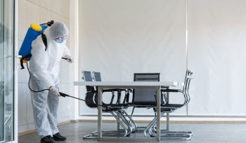 https://plagastur.previsualizar.es/ El Impacto de las Plagas en la Salud Pública y Cómo Combatirlas