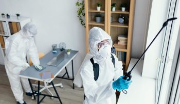 https://plagastur.previsualizar.es/ Prevenir Plagas Comunes en Viviendas Durante el Invierno