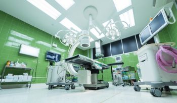 https://plagastur.previsualizar.es/ La gestión integral de plagas en instalaciones sanitarias: pasos cruciales
