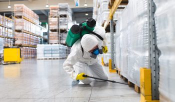 https://plagastur.previsualizar.es/ Protección de instalaciones industriales contra plagas persistentes