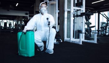 https://plagastur.previsualizar.es/ Control de plagas en instalaciones deportivas en Asturias: Higiene y seguridad