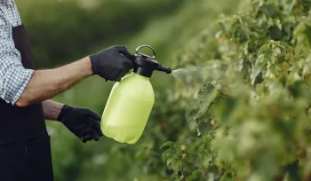 https://plagastur.previsualizar.es/ El impacto de las plagas en el turismo rural en Asturias y cómo mitigarlo